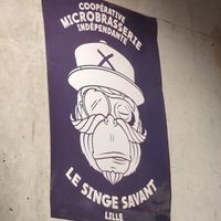  at Brasserie Du Singe Savant in Lille