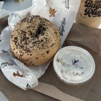   at Jeff's Bagel Run in Oviedo