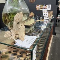   at Güras Cacao  in Prahran