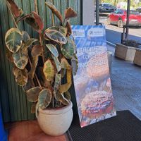  at Casa Ramiro in Tenerife