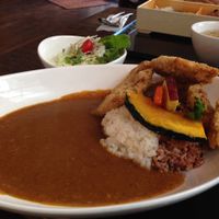 Curry at Shojin Cafe Foi - Shintouri in Wakayama