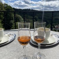 Beautiful View & vegan Cake and Schnaps  at Cafe Zum Rittersturz in Solingen