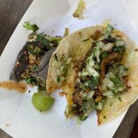 Broccoli taco (black tortilla) & mushroom taco (white tortilla)   at Barracuda Taco Stand in Baton Rouge