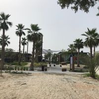 The adress is 5 minutes walking from the beach of La Mer at Comptoir 102 in Dubai