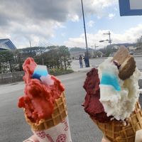  at Funari Gelateria in Yamanashi