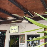  at The Wala Room in Torremolinos