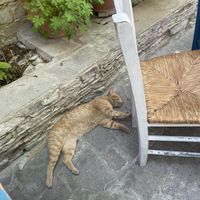   at Coffee Yard Cafe-Restaurant in Lefkara