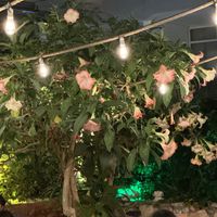 Outdoor seating  at Eski Kafa in Aydin