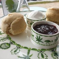 Scones with whipped cream & jam from the Vegan Afternoon tea at RenMor in Newquay