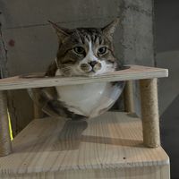   at Namo Namo Ganga Impression - 恒河·印象印度餐厅 in Yangshuo