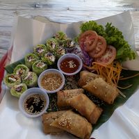 Veggie Rolls and Fried Spring Rolls at Green Food in Chiang Mai
