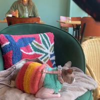 Huiselijke sfeer, voor iedereen. Kind, dier en eco vriendelijk.   at Noencafé in Oostende