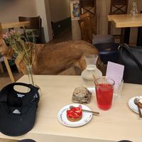  at Cabaïtan in Lyon