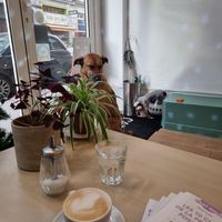  at Cabaïtan in Lyon