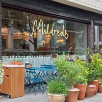 Outside at Mildreds - Victoria in South West London