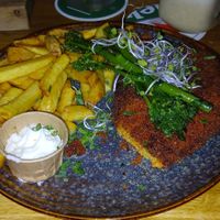 Carrot Schnitzel at Levels in Harlingen