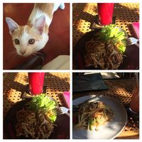 Papaya Salad, banana flower, orange beetroot juice and a little guest at Fuang Vegetarian in Chiang Mai