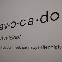 Cute wall at Avotoasty in San Francisco