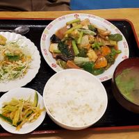 Tofu / soy "meat" with vegetables dish, served as combo at Keiai - 桂愛 in Hiroshima