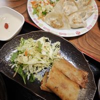 Spring rolls - a little bit greasy but still tasty! at Keiai - 桂愛 in Hiroshima