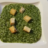 Risotto with herbs and tofu at Ristorante Domingo in Delebio