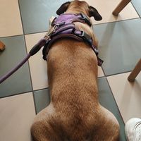  at Glasgow Burgers in Nantes