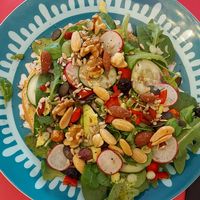 Bread with lots of vegan toppings at CHALAZA in Valkenburg