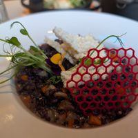  at Wonderland Ljubljana in Ljubljana