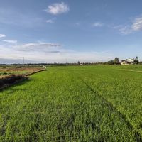 Beautiful view at Nghe Coffee in Hoi An