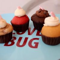 cupcakes  at Bunnie Cakes in Doral
