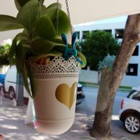 bunny  at Bunnie Cakes in Doral
