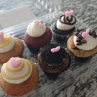  at Bunnie Cakes in Doral