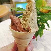 Rice milk based chocolate and olive oil and water based pistachio gelato. at Artigiana Gelati in Budapest