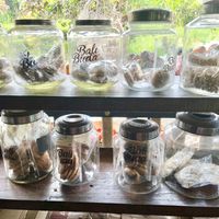 Cookies from Bali Buda  at Lala and Lili Warung in Gianyar