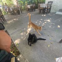 Lokale medewerkers  at Cold Spring Tavern in Kos