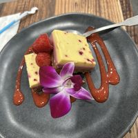 Raw cakes  at Fleur Cuisine Harborside - Rockport in Rockport
