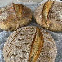 All sandwiches and toasts are served on house-made sourdough! at Smokey Jo's Cafe in Udaipur