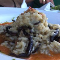 a simple dish of risotto with mushrooms at Bistro 'O Porto in Tavira