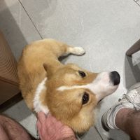   at Happy Place in Ho Chi Minh City