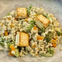 Pearl Barley & Broccoli Risotto with Lemon, basil & fried tofu  at Tweedies Bar & Lodge in Grasmere