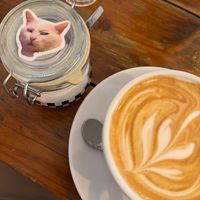  at GAL Cafe in Lisbon