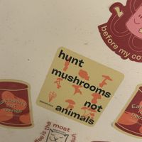   at GAL Cafe in Lisbon