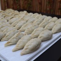 Homemade Vegetarian Dumplings at TAB - TakeABreak in Porto