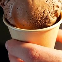 Opção de chocolate com avelã, vegetal at Menosduz Sorveteria in Londrina