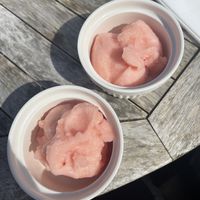 Campari orange sorbet   at The Owl   in York