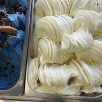 Vegan Pineapple   at Oc Gelato in Ocean City