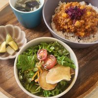 Vegan Dry curry at Biotable in Tokyo