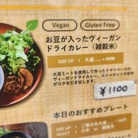 Vegan dry curry at Biotable in Tokyo