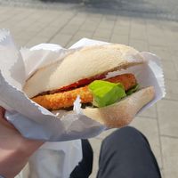  at ELVIE in Augsburg