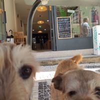 Lola e Chiquinha at Verde Hut in Porto